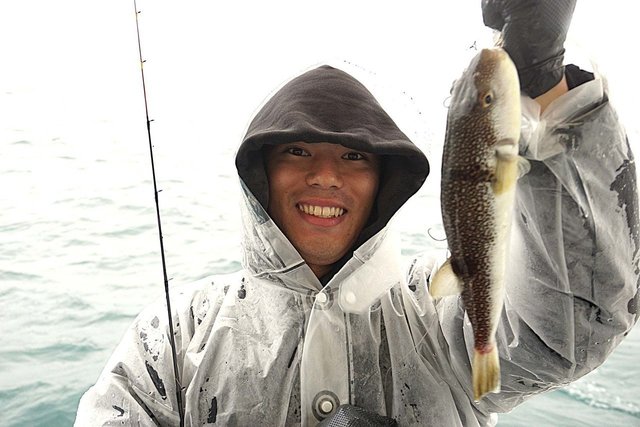 ショウサイフグ