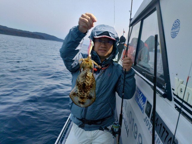 アオリ(アオリイカ)