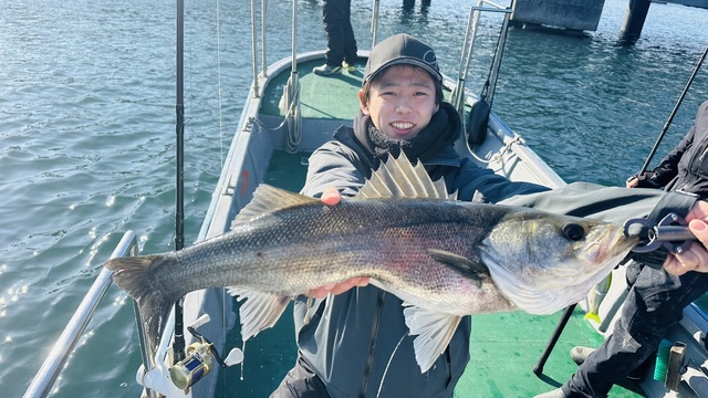 シーバス(スズキ)