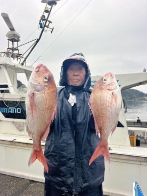 マダイ