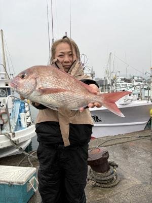 マダイ
