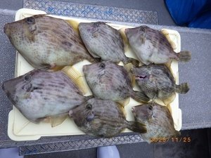 カワハギ