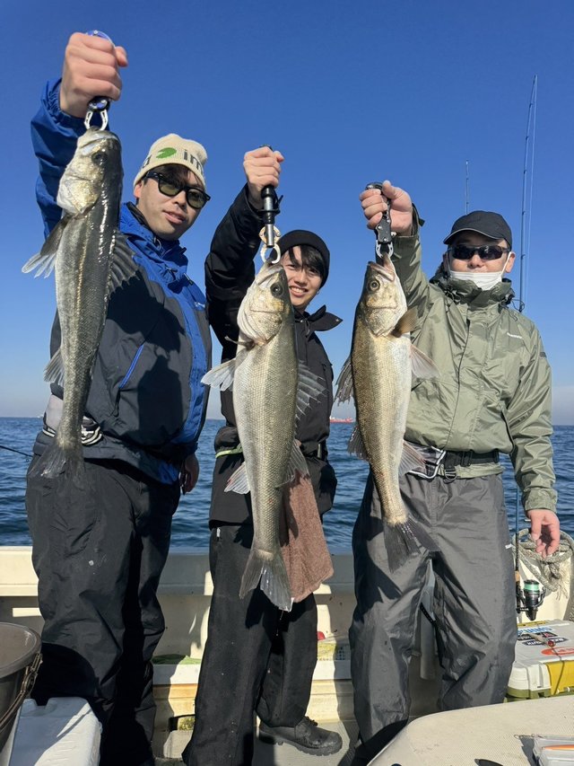 シーバス(スズキ)