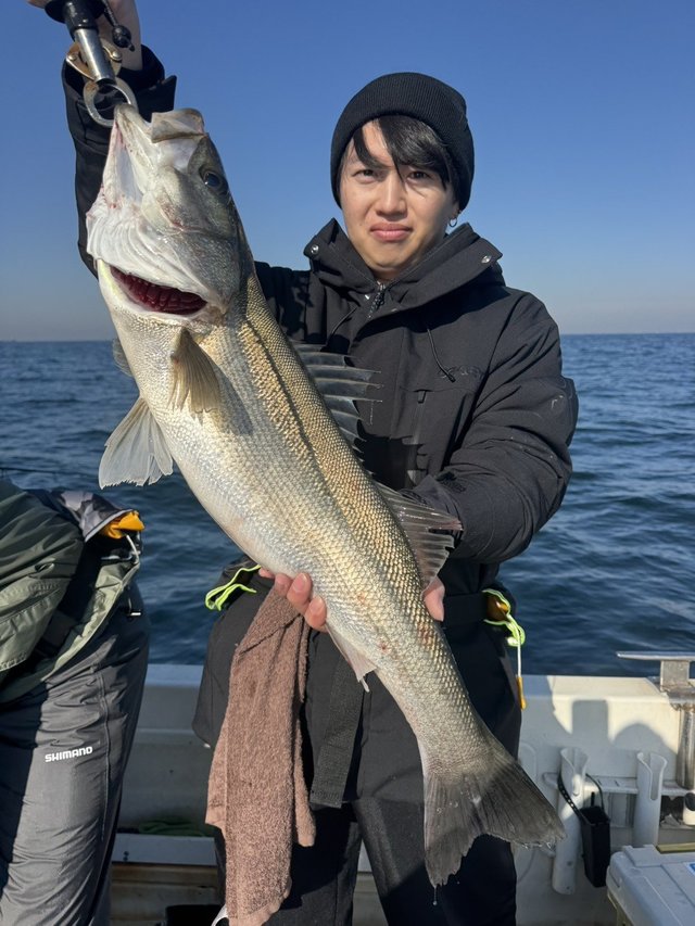 シーバス(スズキ)