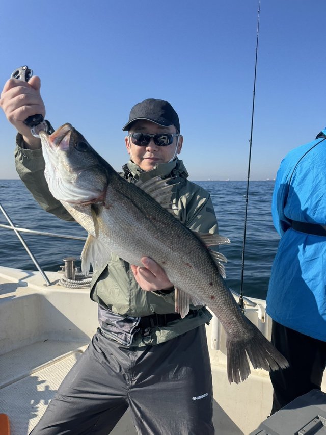 シーバス(スズキ)