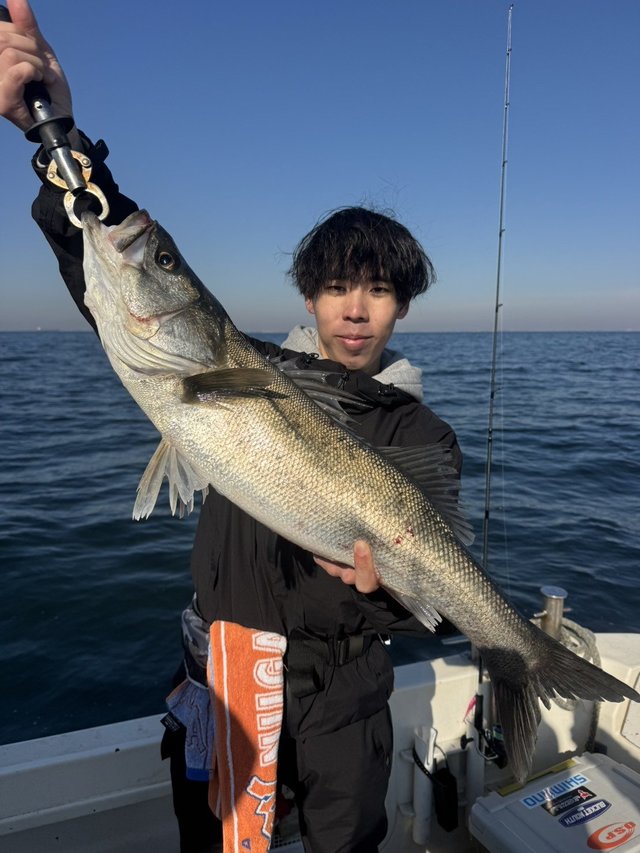 シーバス(スズキ)