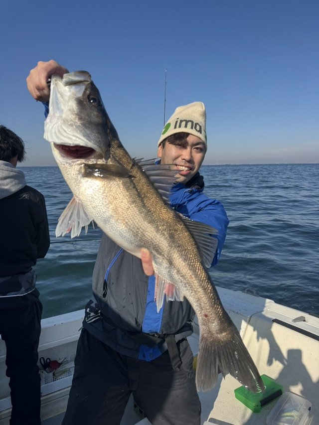 シーバス(スズキ)