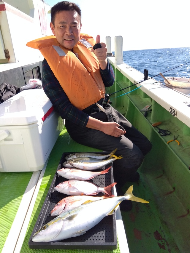 ハナダイ(チダイ)・アジ(マアジ)・イナダ(ブリ)