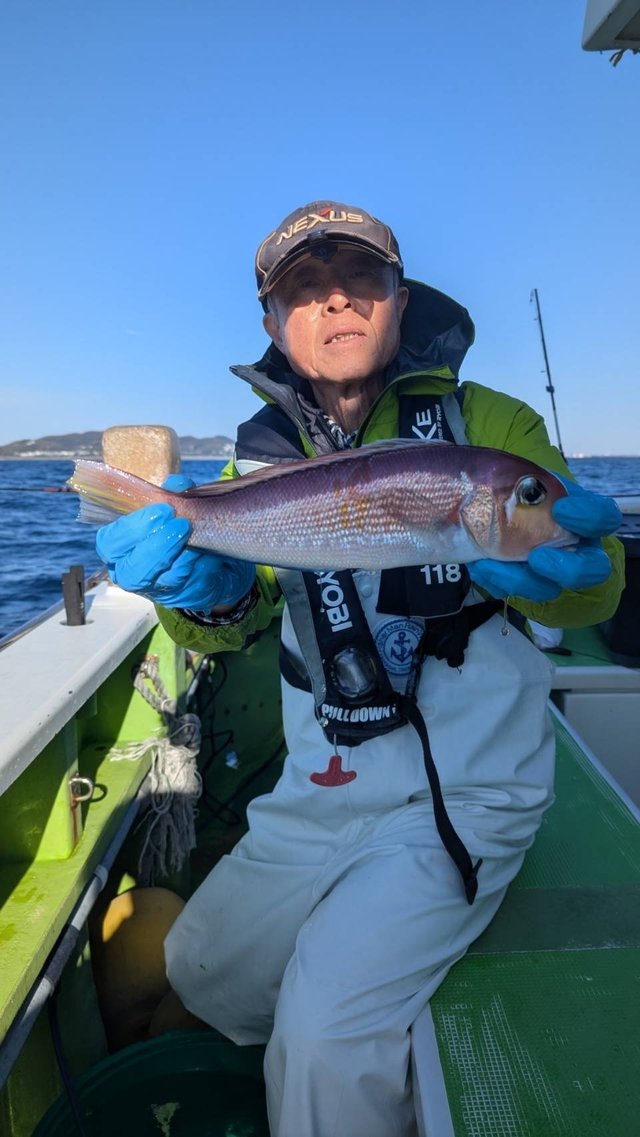 アマダイ(アカアマダイ)