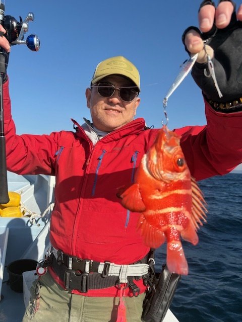 キントキ(チカメキントキ)