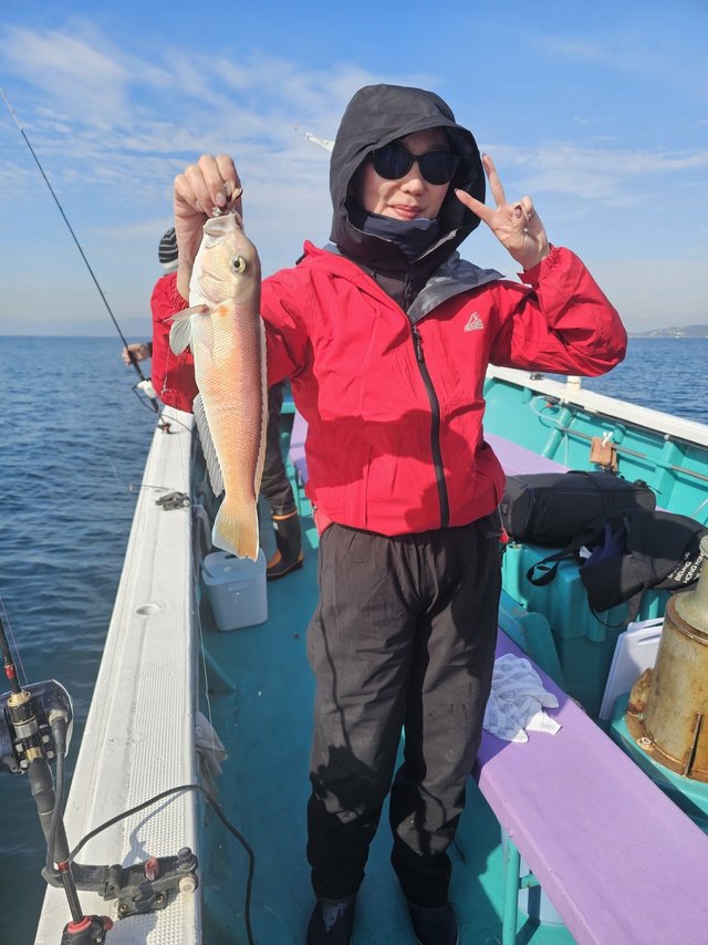 アマダイ(アカアマダイ)