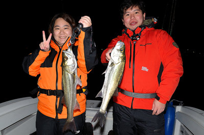 シーバス(スズキ)