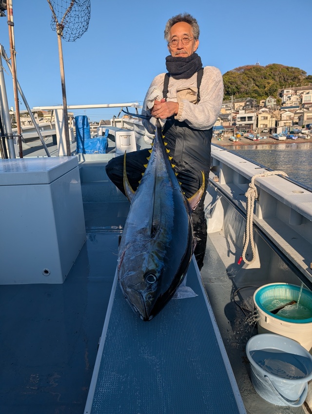 キハダマグロ(キハダ)