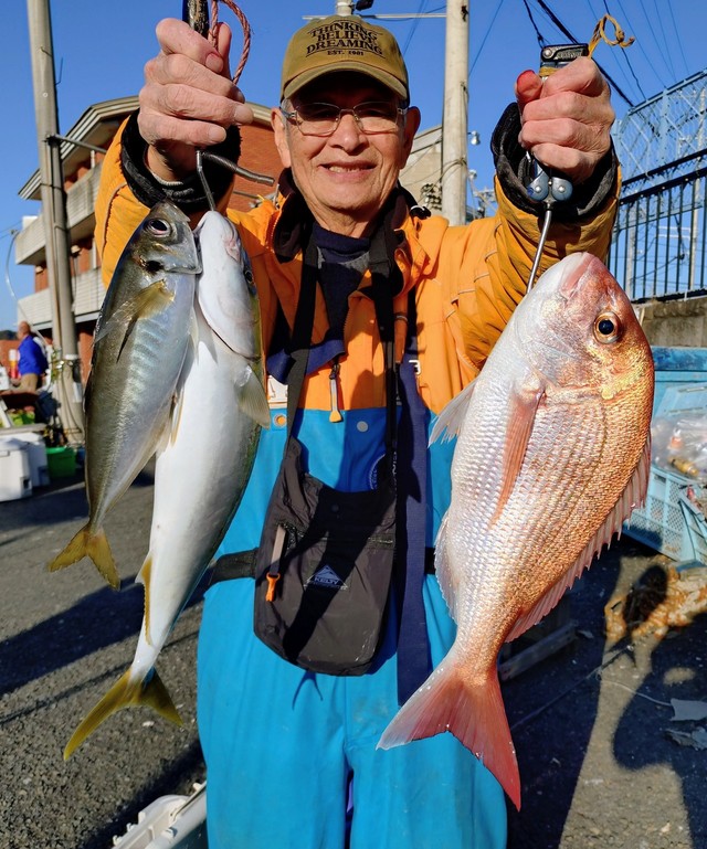 マダイ・アジ(マアジ)・イナダ(ブリ)