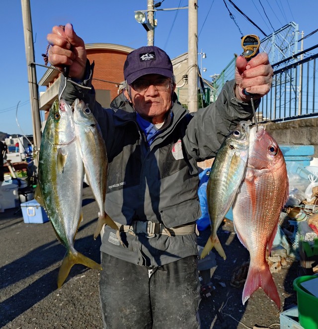マダイ・アジ(マアジ)・イナダ(ブリ)