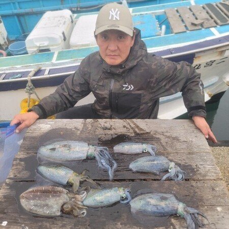 アオリ(アオリイカ)