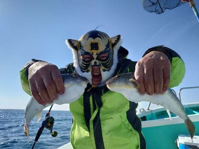 ショウサイフグ