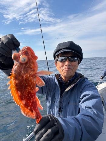 ウッカリカサゴ