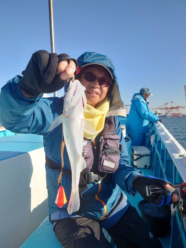 イシモチ(シログチ)