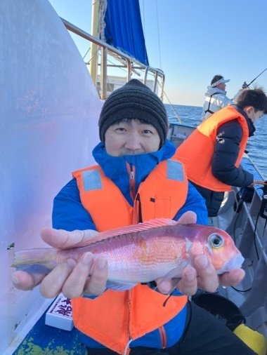 アマダイ(アカアマダイ)