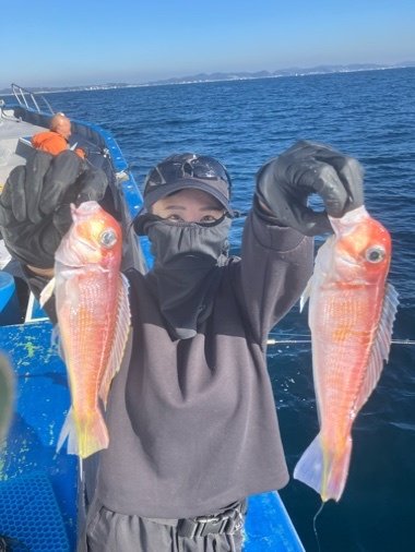 アマダイ(アカアマダイ)