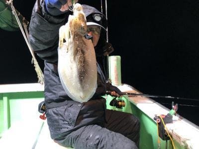 モンゴウイカ(カミナリイカ)