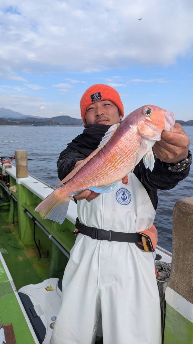 アマダイ(アカアマダイ)