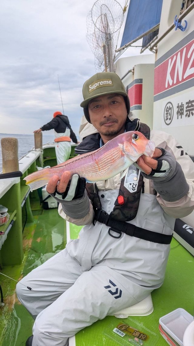 アマダイ(アカアマダイ)