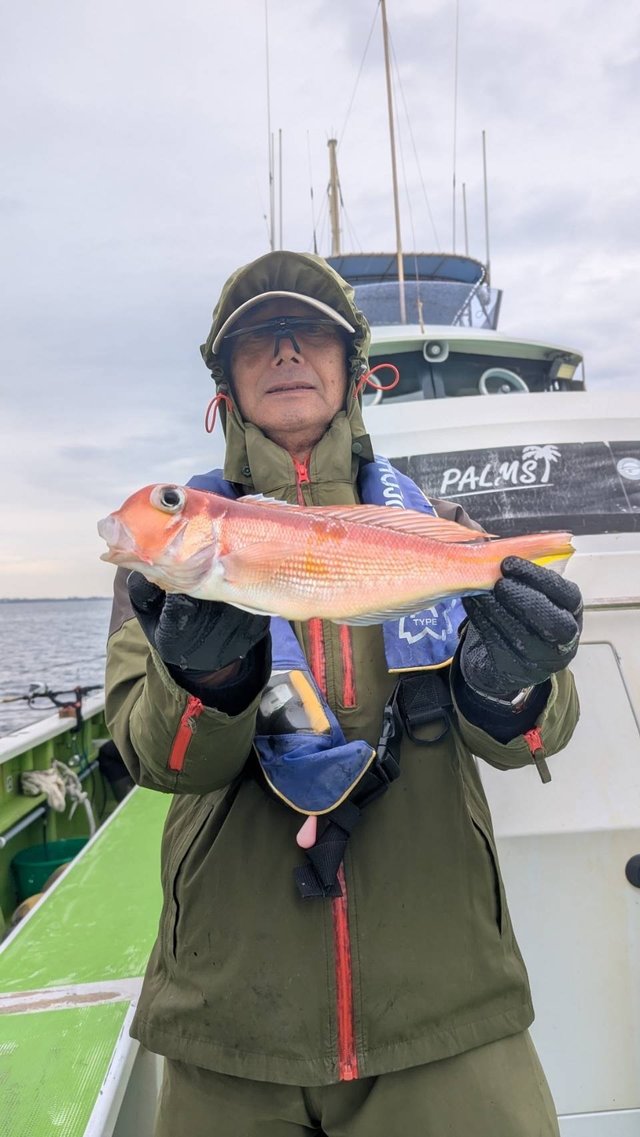 アマダイ(アカアマダイ)