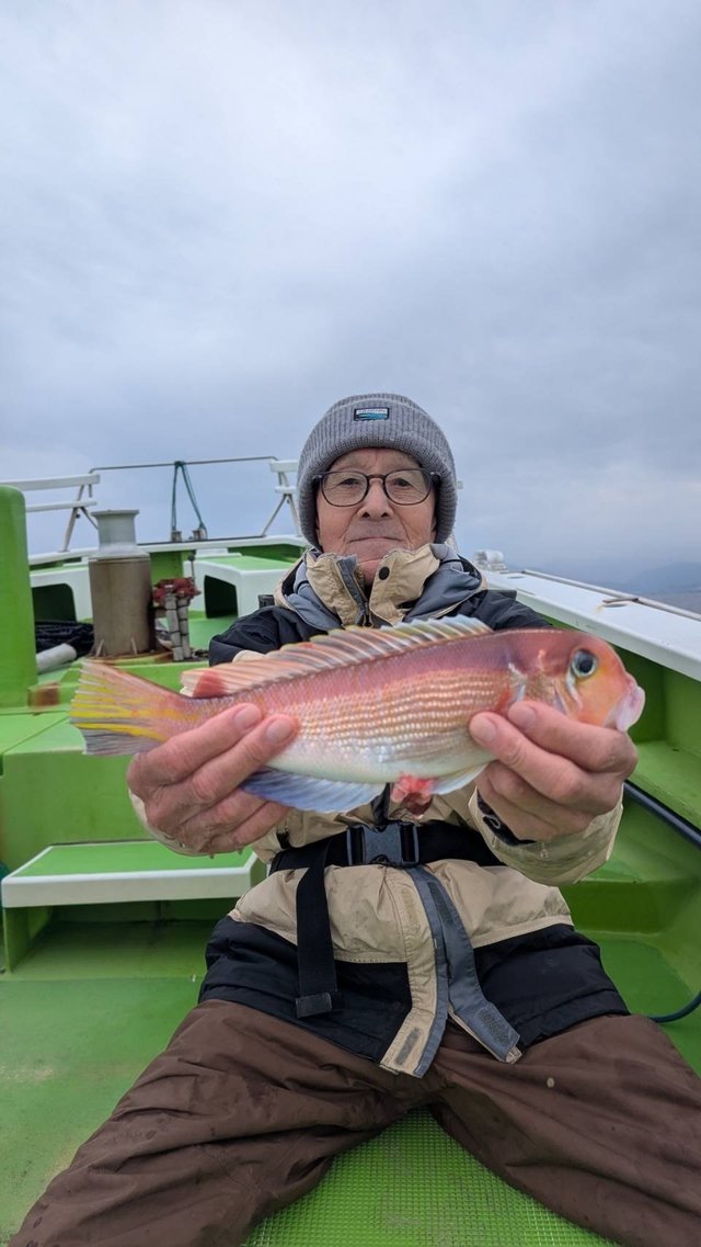 アマダイ(アカアマダイ)