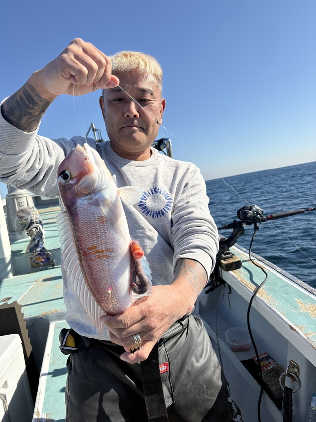 アマダイ(アカアマダイ)