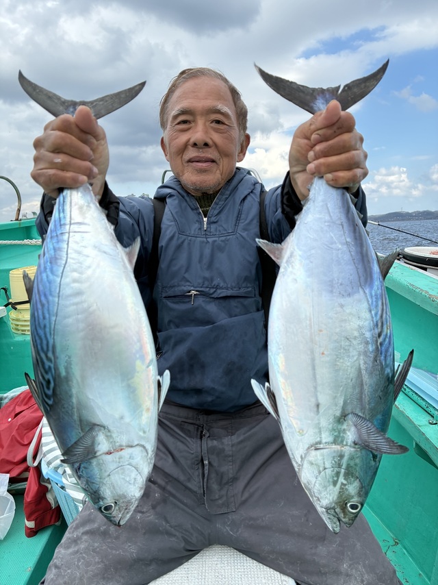 スマガツオ(スマ)