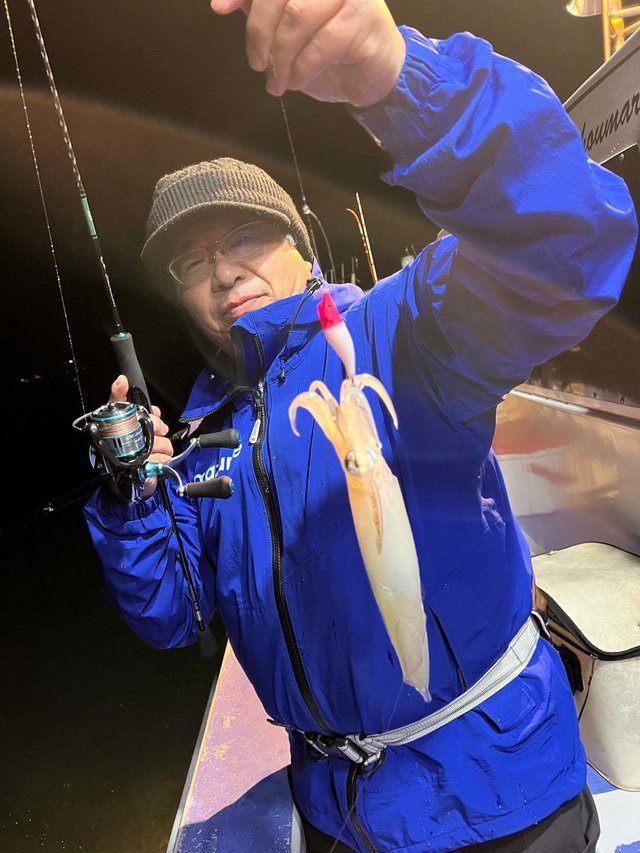 マルイカ(ケンサキイカ)