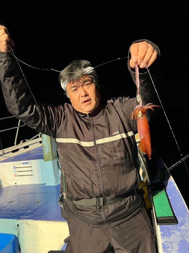 マルイカ(ケンサキイカ)