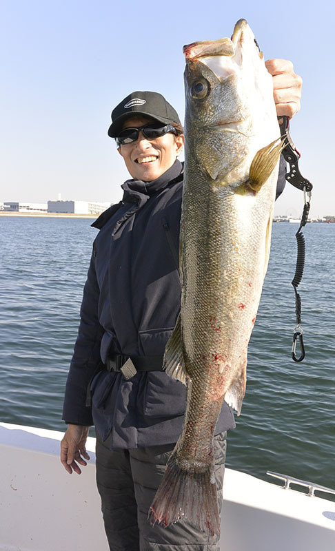 シーバス(スズキ)