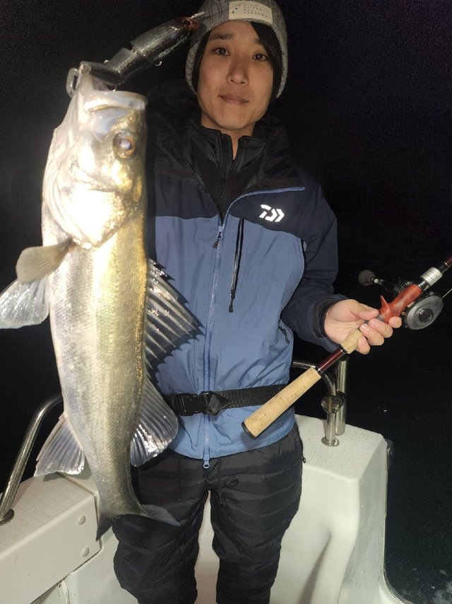 シーバス(スズキ)