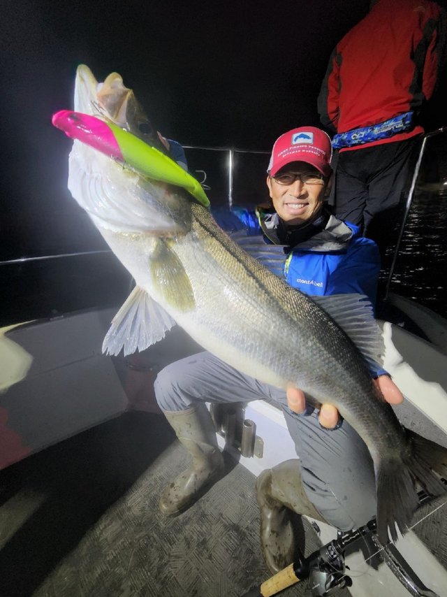 シーバス(スズキ)