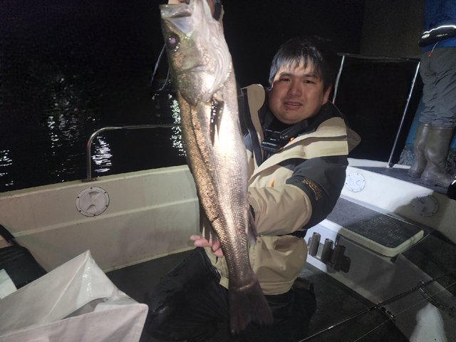 シーバス(スズキ)