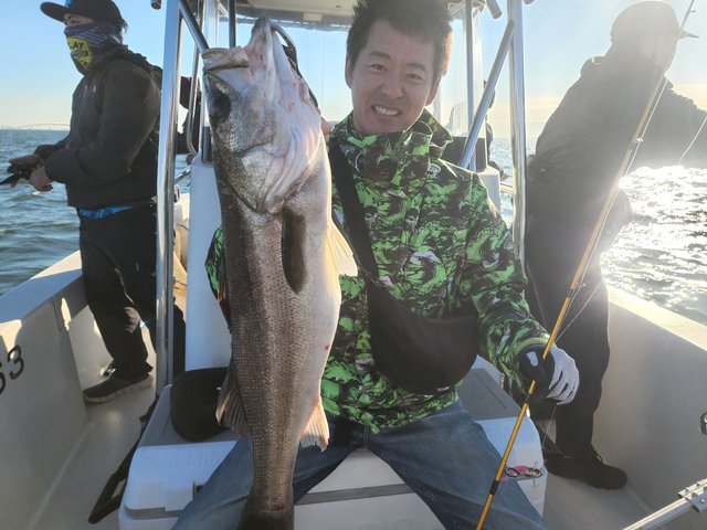 シーバス(スズキ)