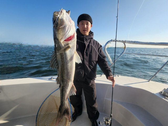 シーバス(スズキ)