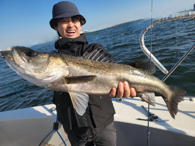 シーバス(スズキ)