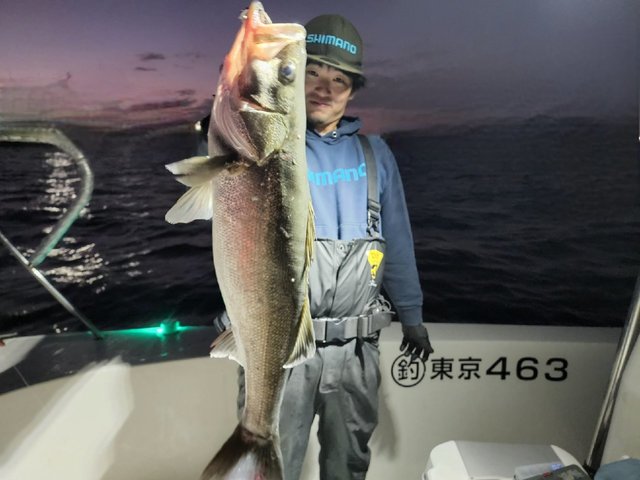 シーバス(スズキ)