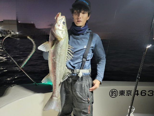 シーバス(スズキ)