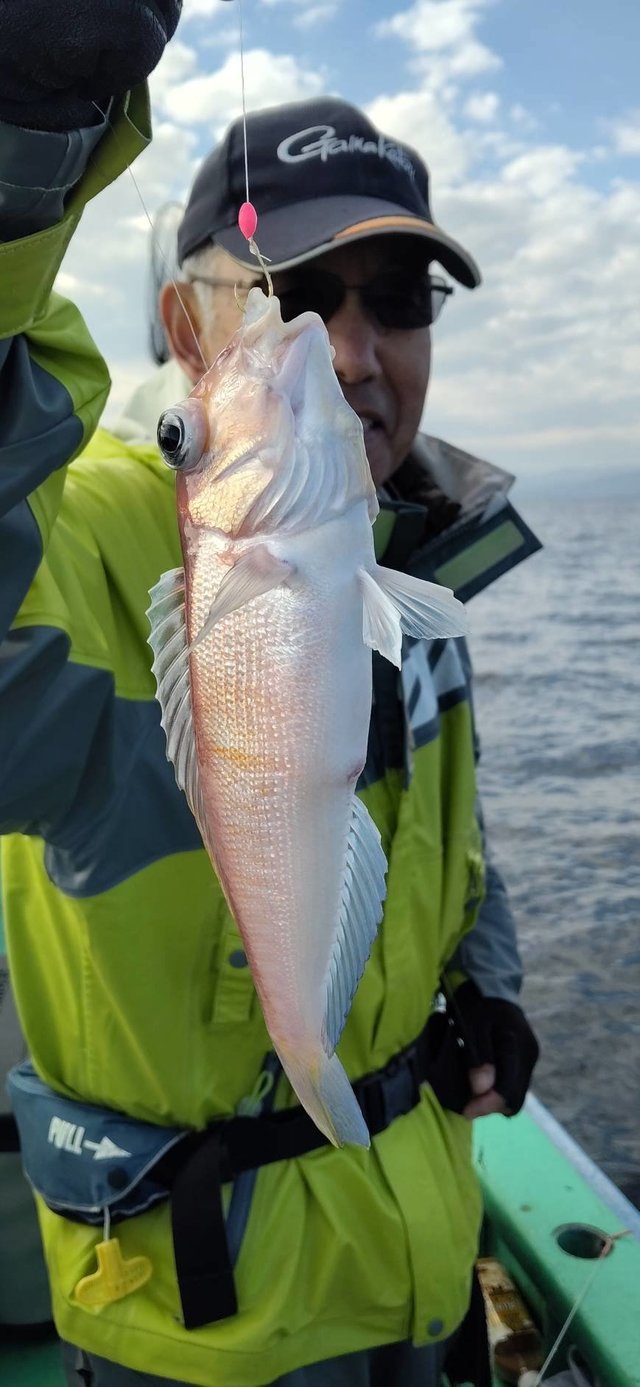 アマダイ(アカアマダイ)