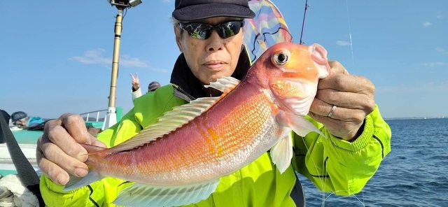 アマダイ(アカアマダイ)