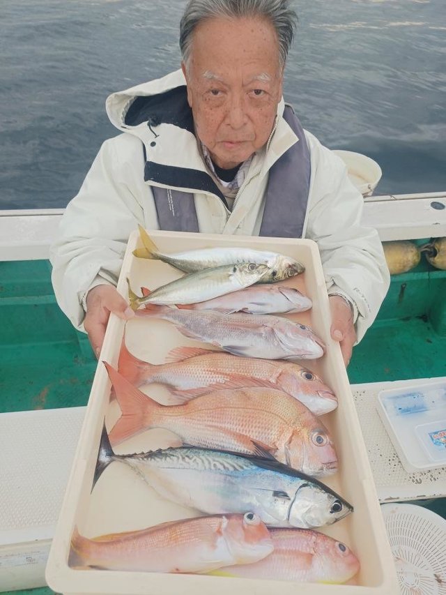 マダイ・アジ(マアジ)・アマダイ(アカアマダイ)・ヒラソウダ