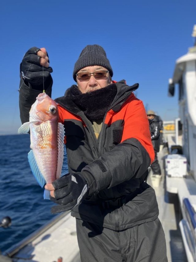 アマダイ(アカアマダイ)