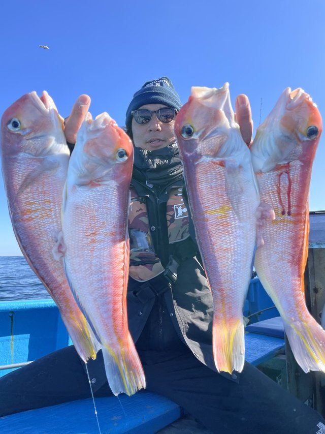 アマダイ(アカアマダイ)