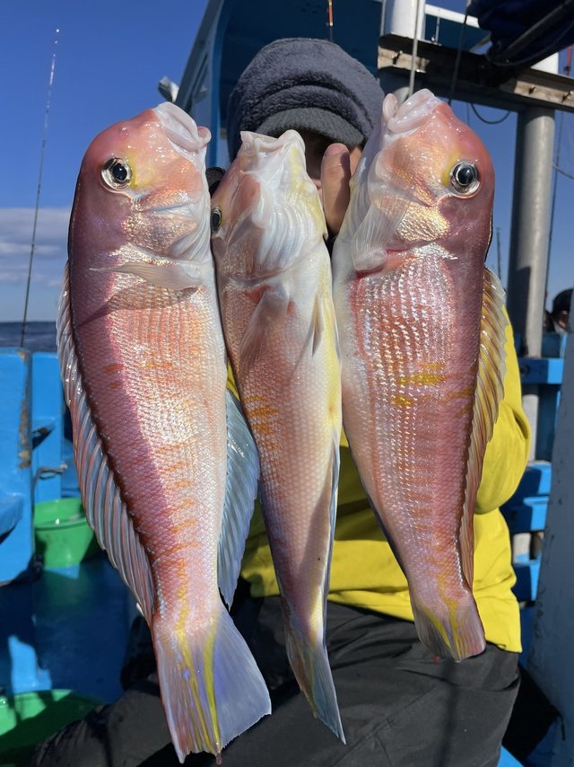 アマダイ(アカアマダイ)