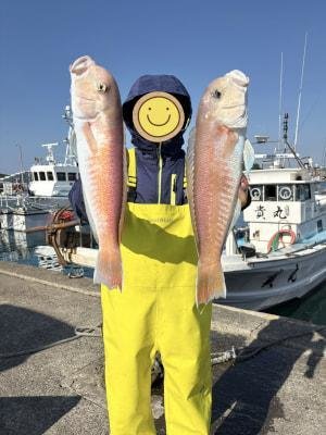 シロアマダイ